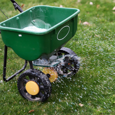 fertilizing lawn to prevent grubs