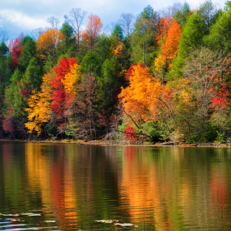 best-places-for-beautiful-fall-colors-in-tennessee-and-mississippi